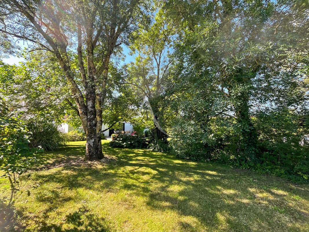 Propriété de caractère avec grange réhabilitée et dépendances sur plus de 3 400 m² à Challans - photo 9
