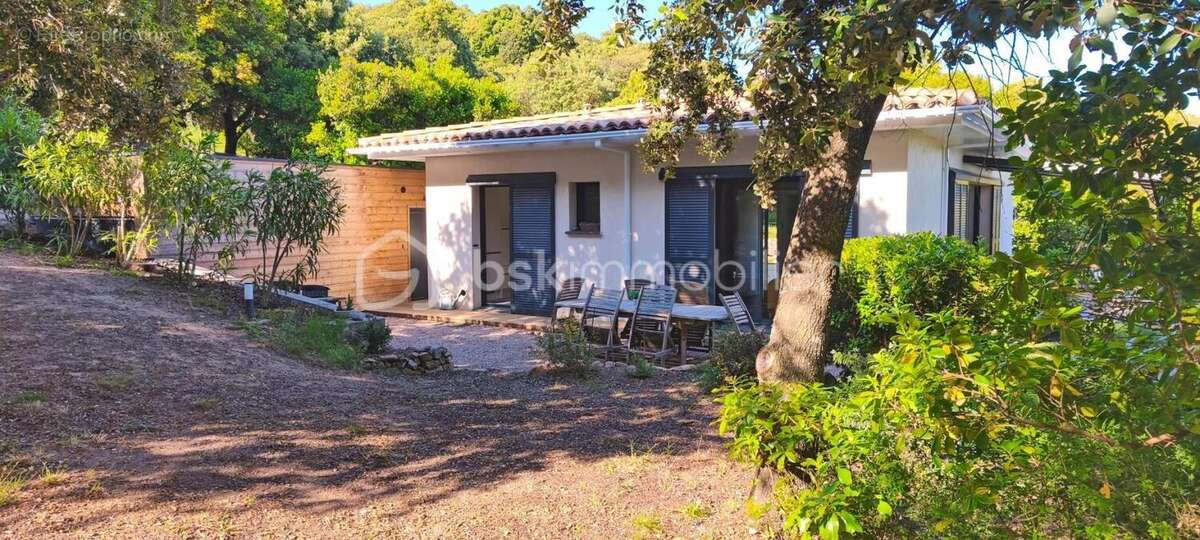 Maison à ALBITRECCIA