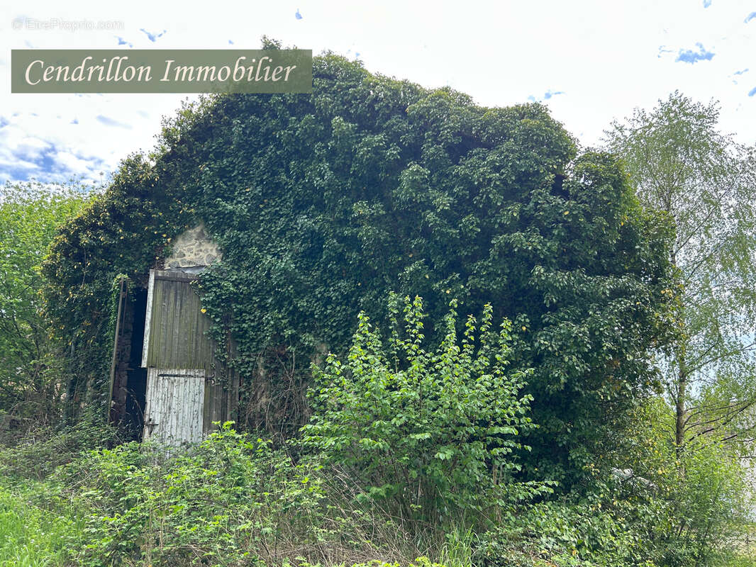 Projet de Rénovation : Ensemble Immobilier (2 Maisons + 2 Granges) sur 1537 m2 - photo 6