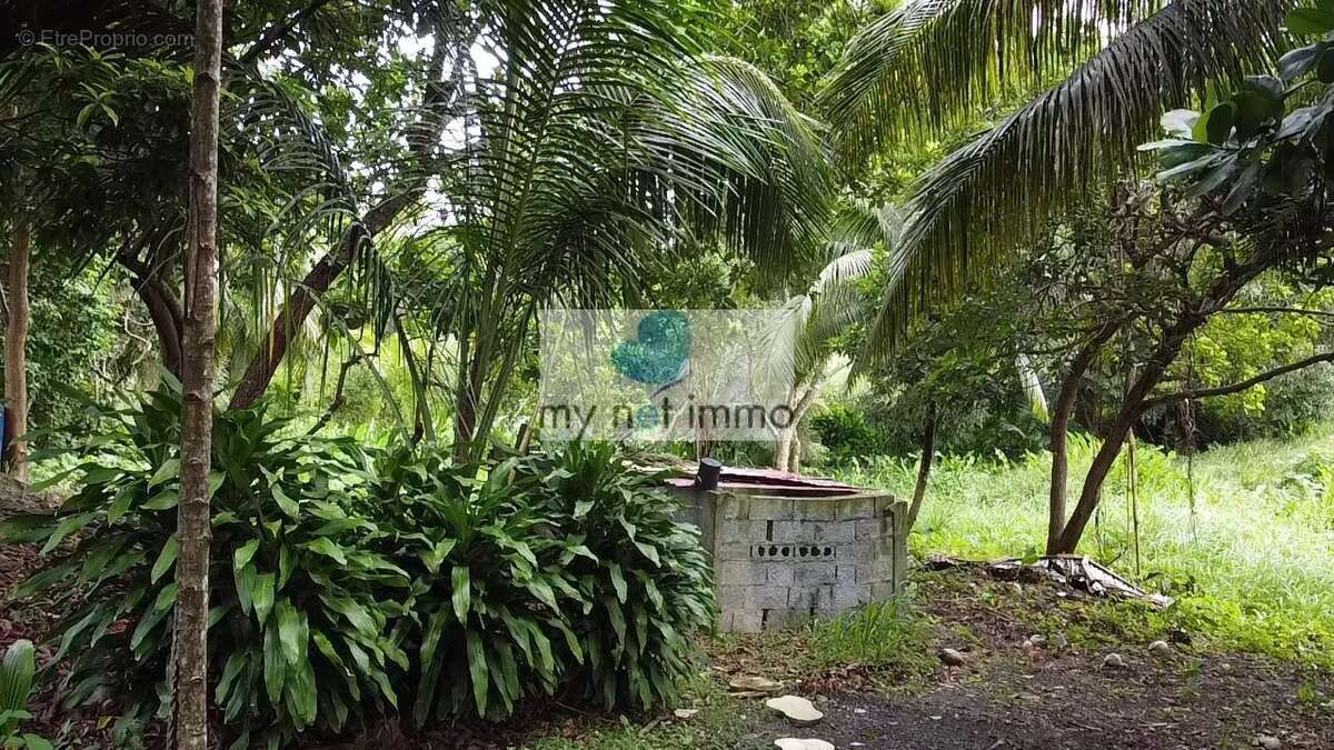 Terrain à SAINTE-ANNE