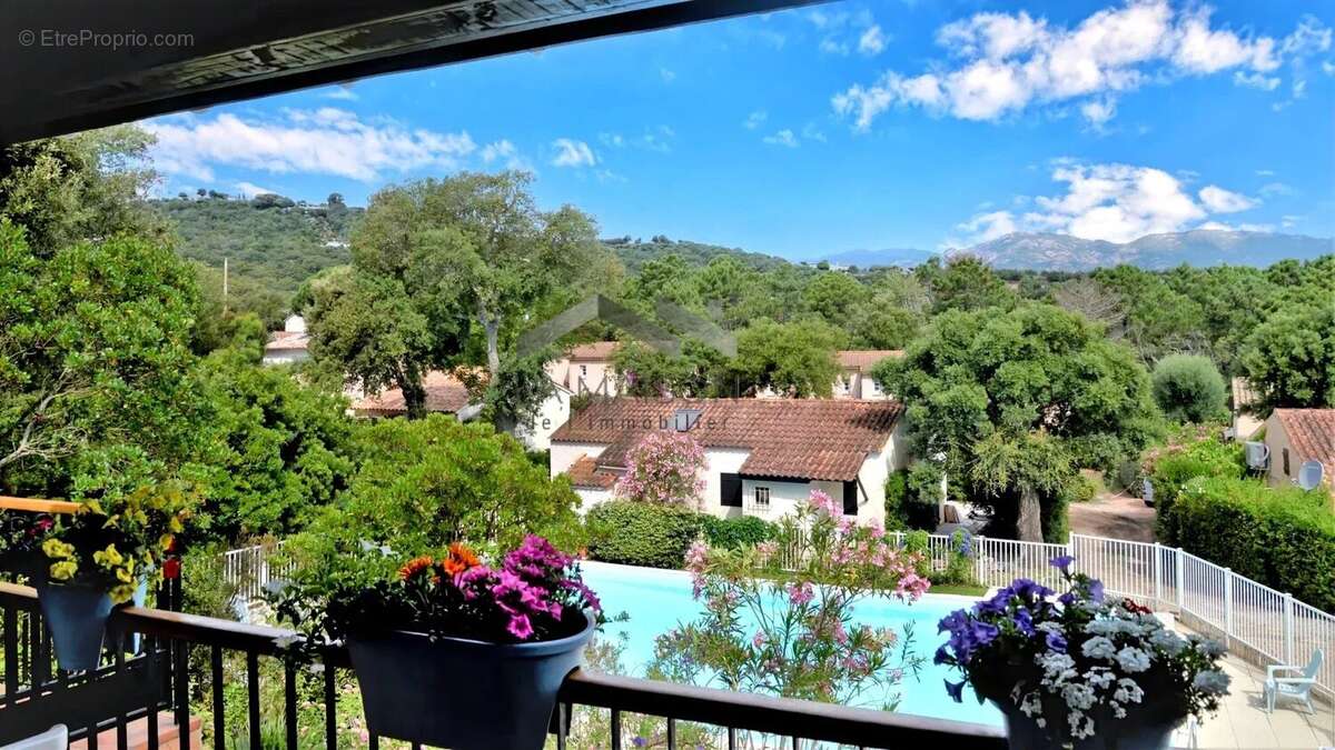 Maison à PORTO-VECCHIO