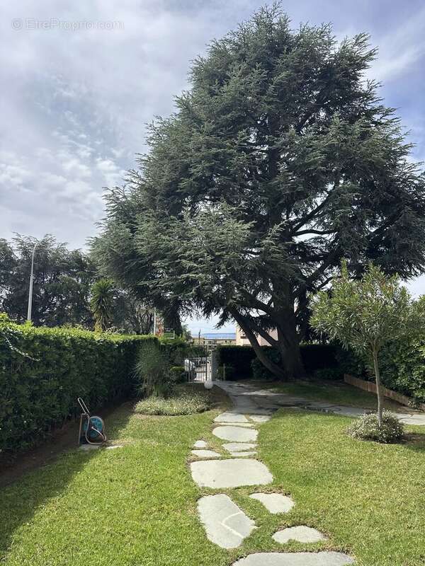 Nice corniche fleurie studio 42m² + jardin 35m²+ cave - photo 15