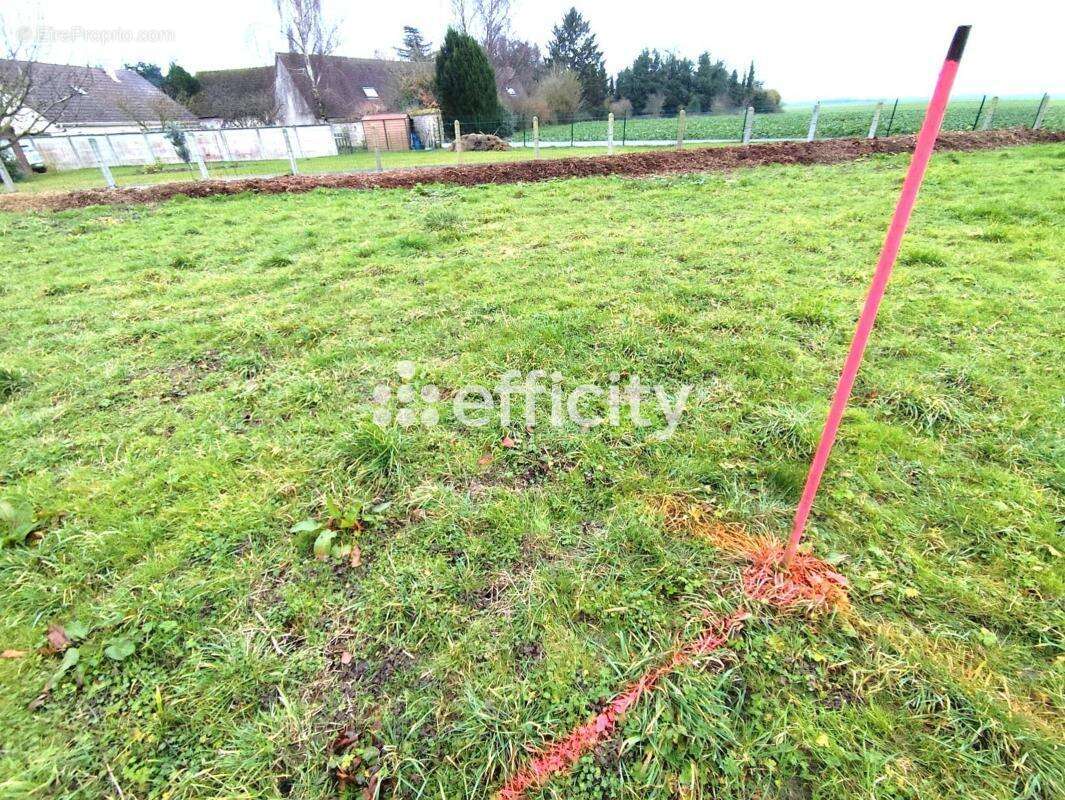 Terrain à TREMBLAY-LES-VILLAGES