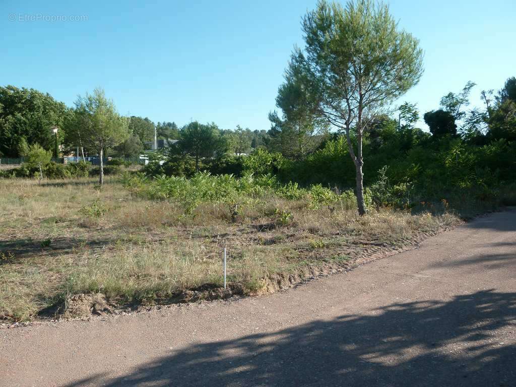 Terrain à CLERMONT-L&#039;HERAULT