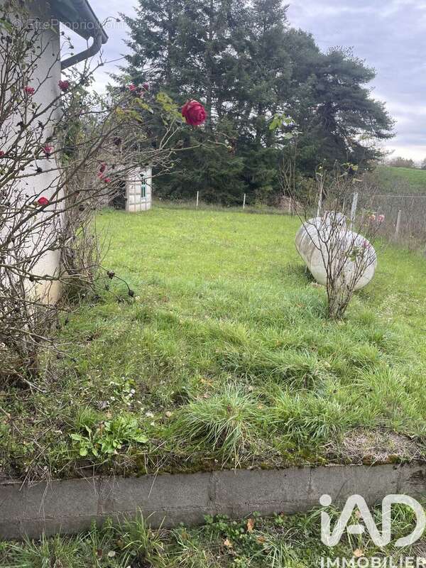 Photo 8 - Maison à LURCY-LEVIS