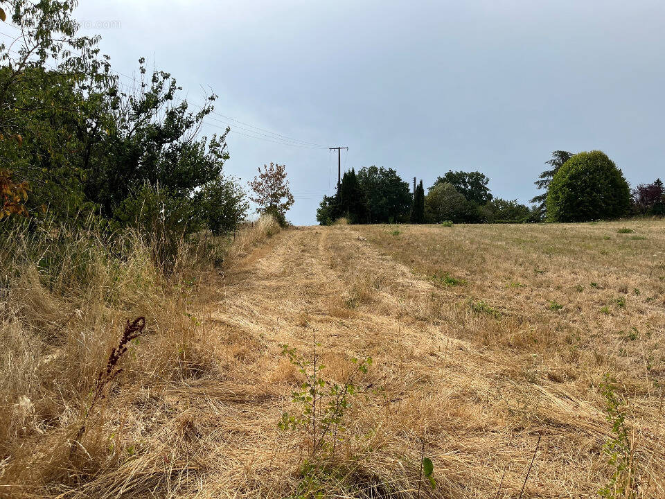 Terrain à PUYGOUZON
