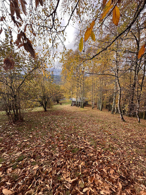 Terrain à SAINT-HIPPOLYTE