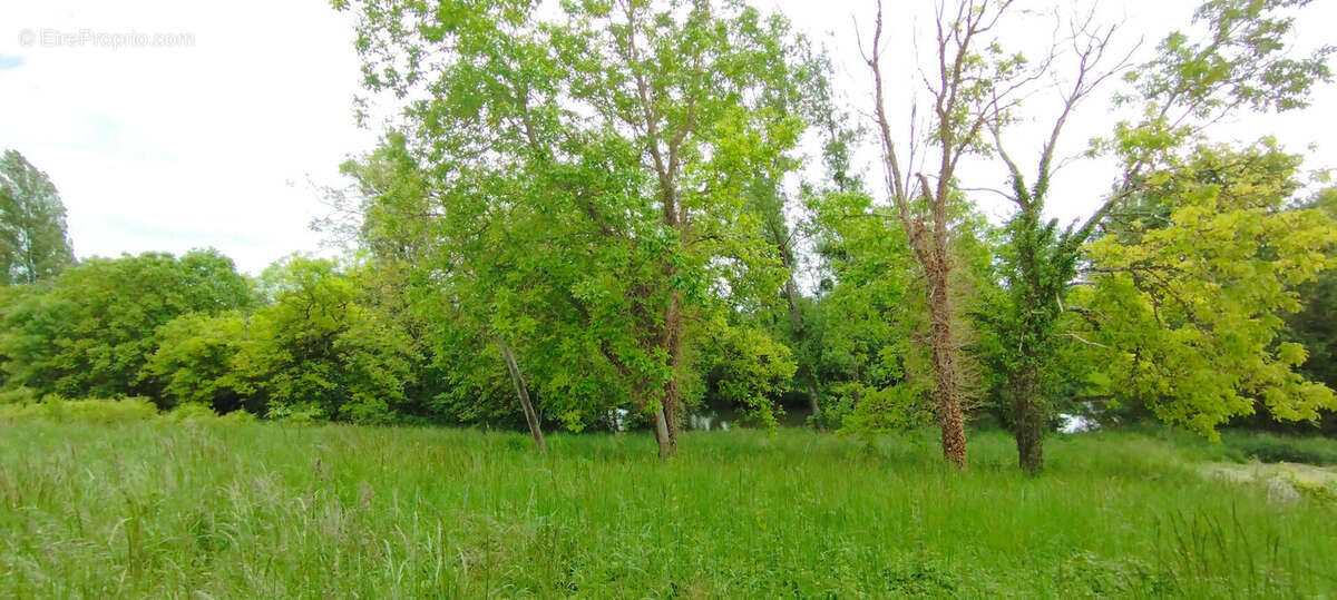 Terrain à MARTIZAY