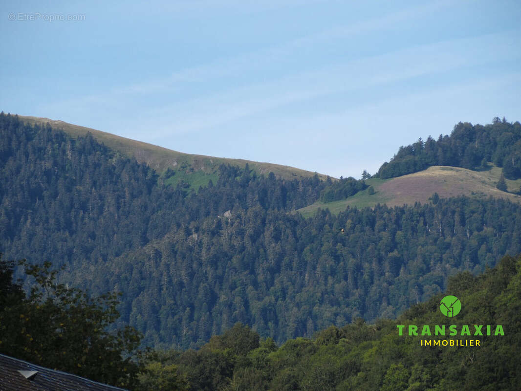 Vue sur la montagne - Maison à SAINT-LARY