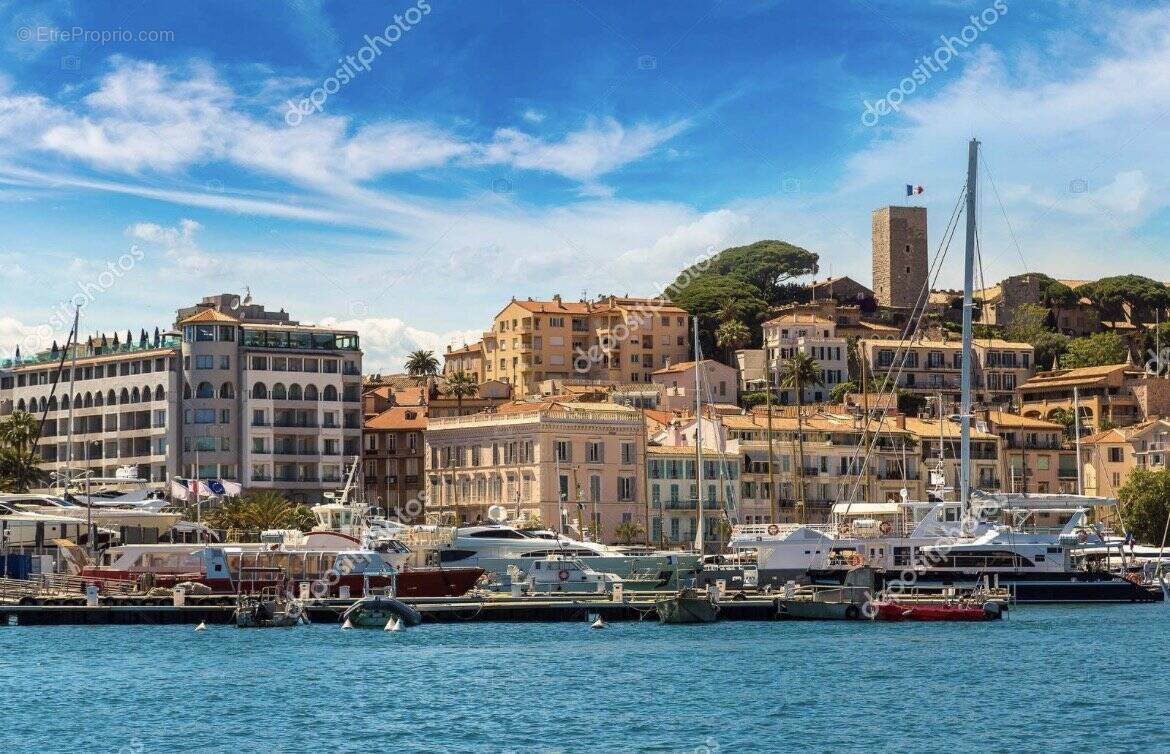Commerce à CANNES