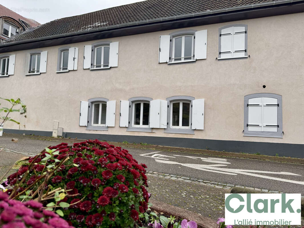 Façade coté rue - Appartement à OBERHAUSBERGEN