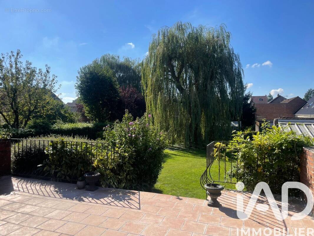 Photo 1 - Maison à BETHUNE