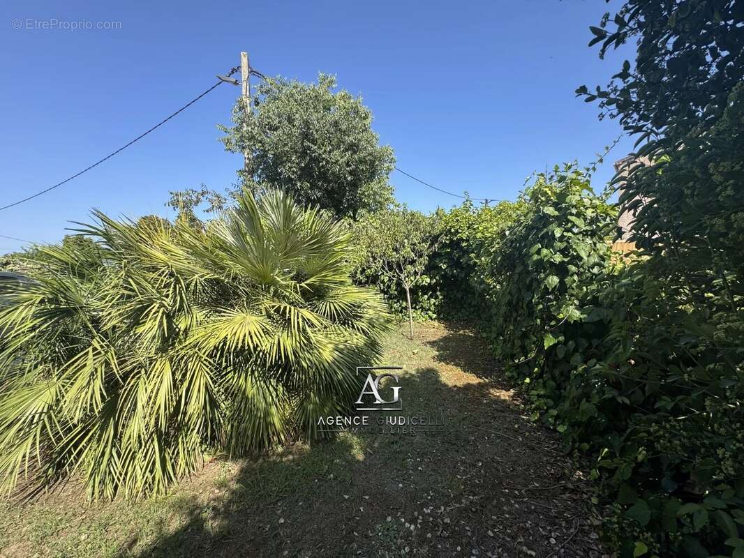 Maison à GHISONACCIA