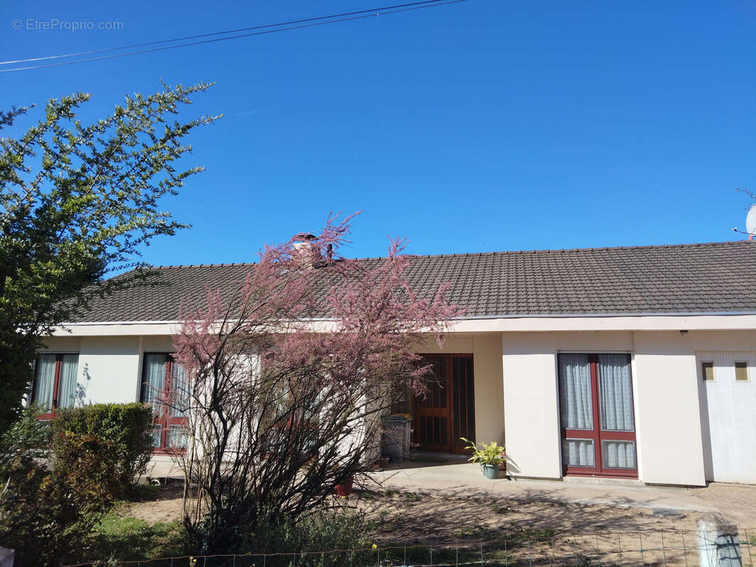 Maison à NAZELLES-NEGRON