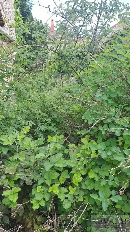 Côte d'Or ( SECTEUR AIGNAY LE DUC)  entrepot ou maison en pierre sans terrain de 485m2 - photo 14