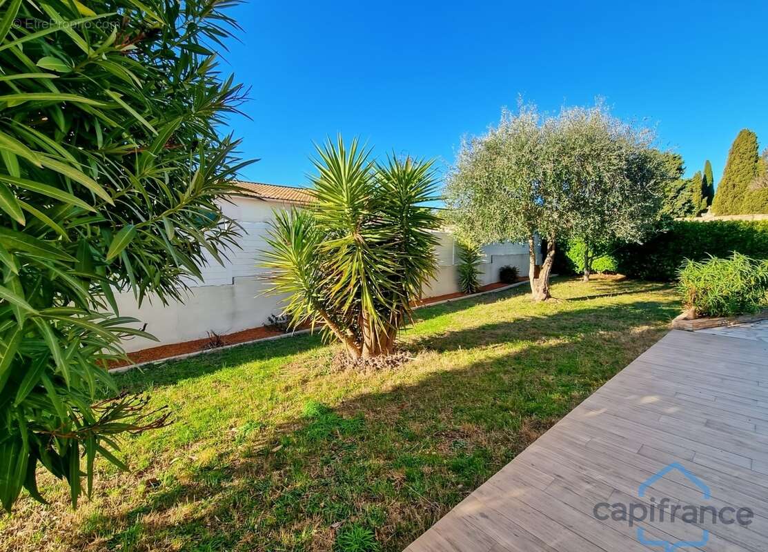 MAISON de 222m² ou double habitation - PISCINE - Terrain arboré de 830m² sans vis-à-vis - CASTRIES (34) - photo 9