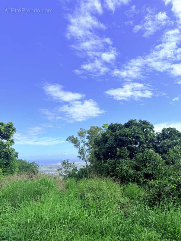Terrain à SAINT-PAUL