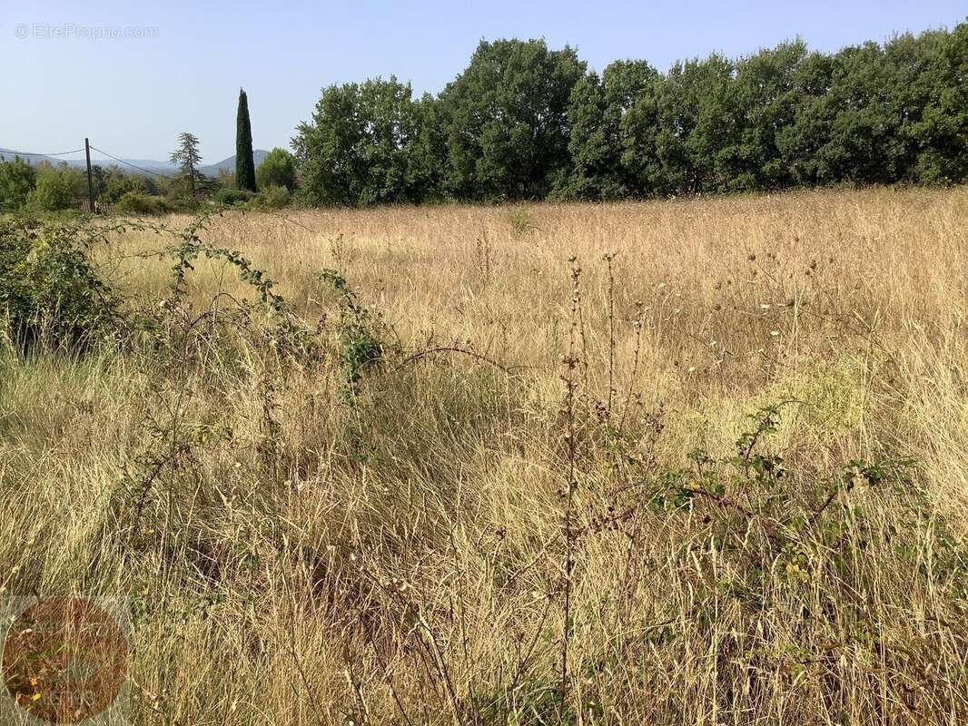 Très beau terrain constructible de 4895m² - photo 2