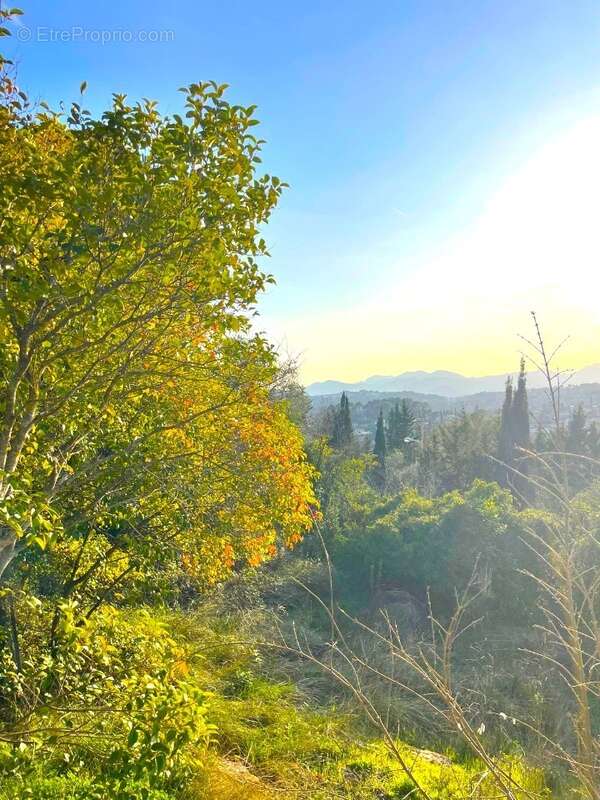Terrain à MOUGINS