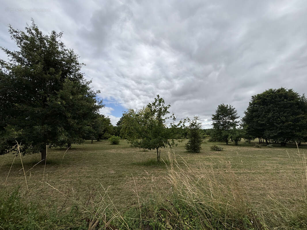 Terrain à CHENAUD