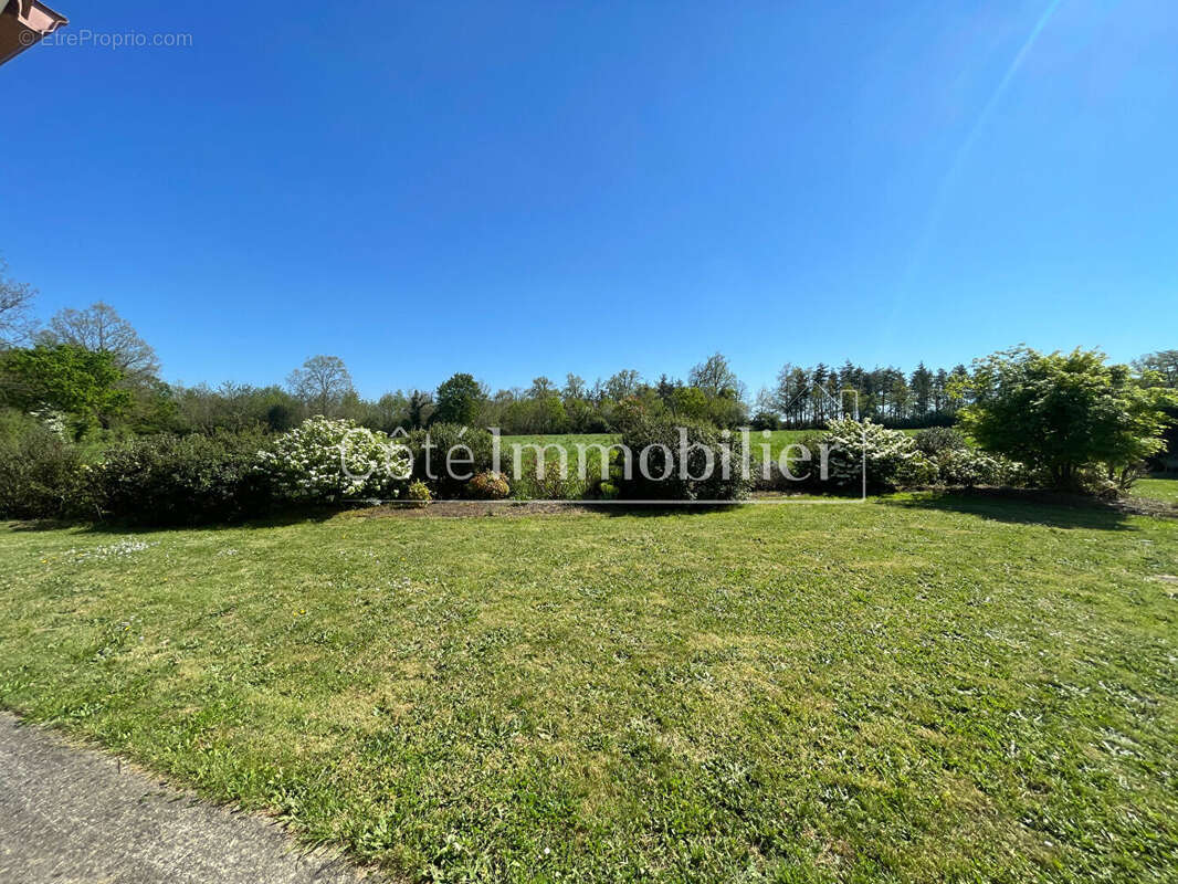 Maison 163 m² à Port-Saint-Pere  - photo 9