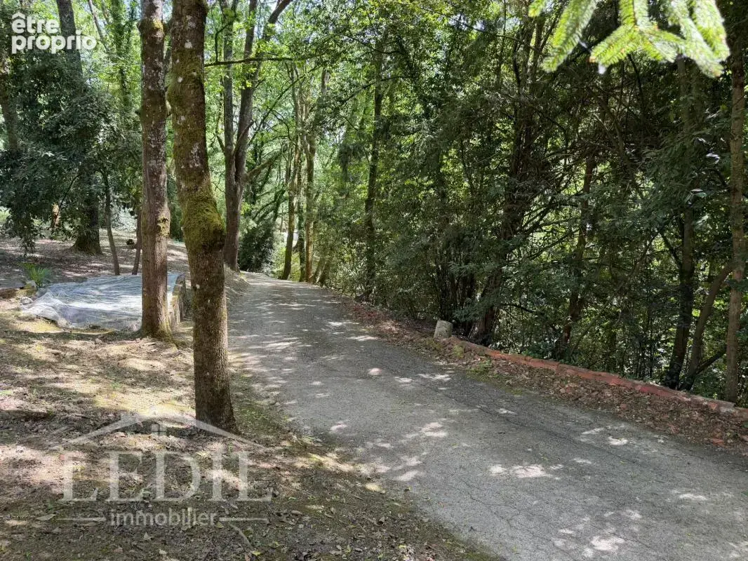 Propriété 10 pièces 324 m² - photo 5