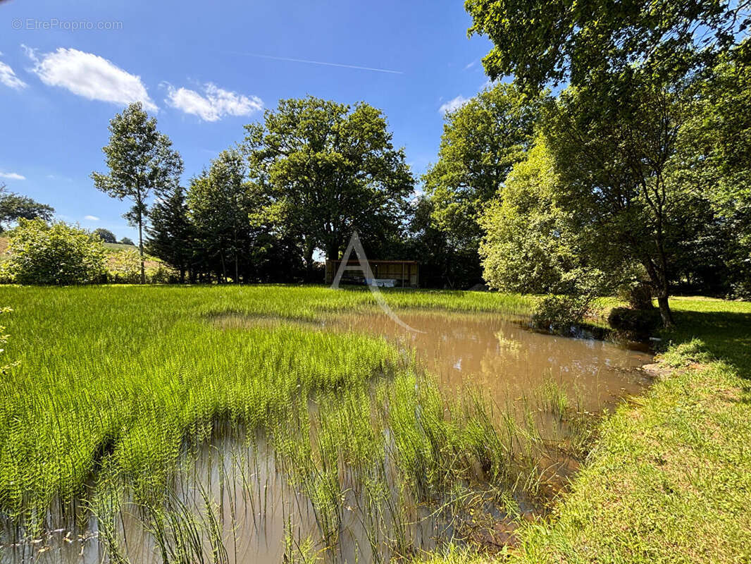 Terrain à ANDOUILLE