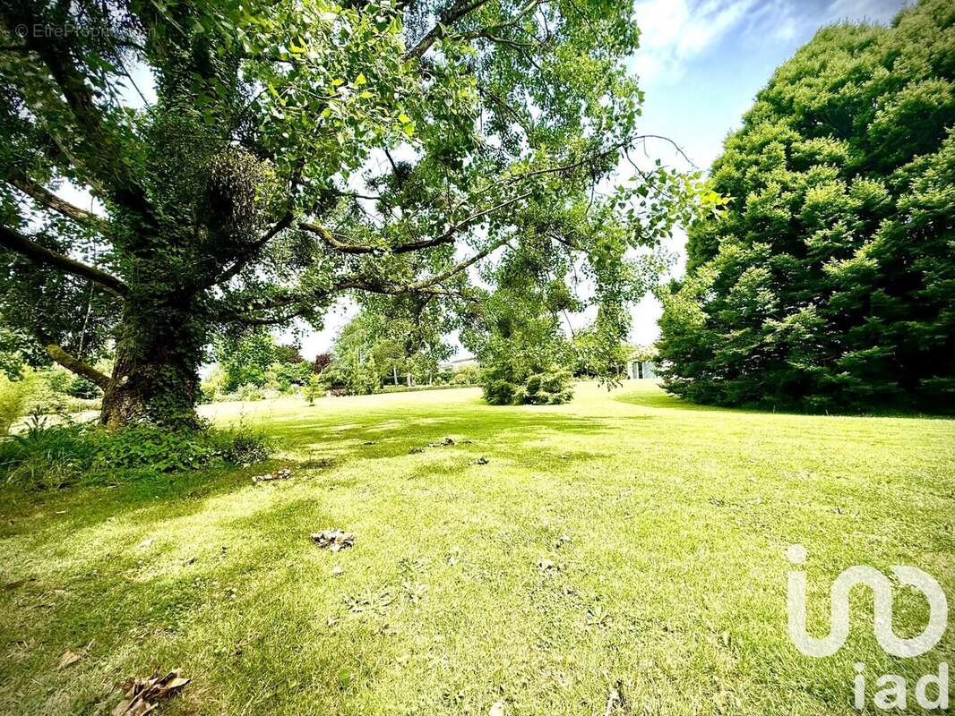 Photo 5 - Maison à CELLES-SUR-BELLE