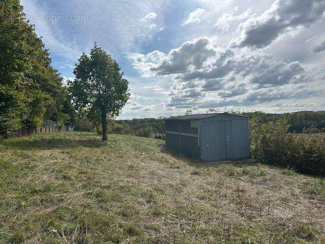 Autre à SAINT-GEORGES-LES-BAILLARGEAUX