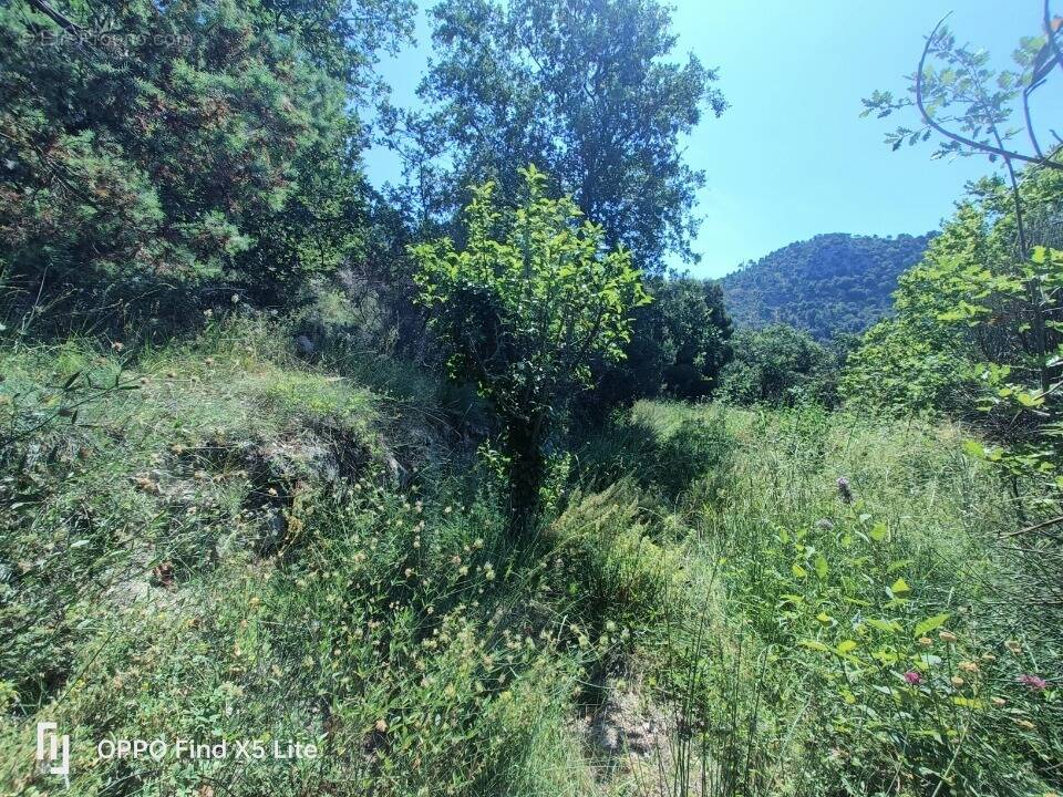 Terrain à ASPREMONT