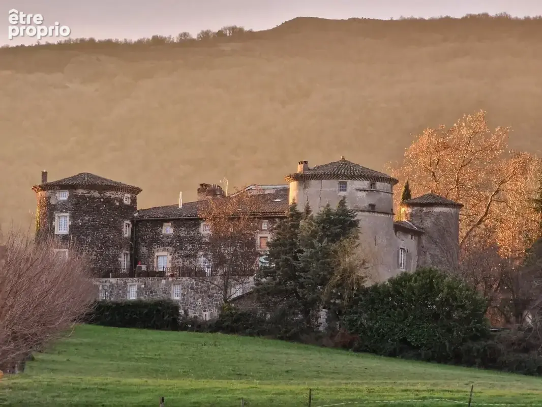Chateau medieval unique - photo 20