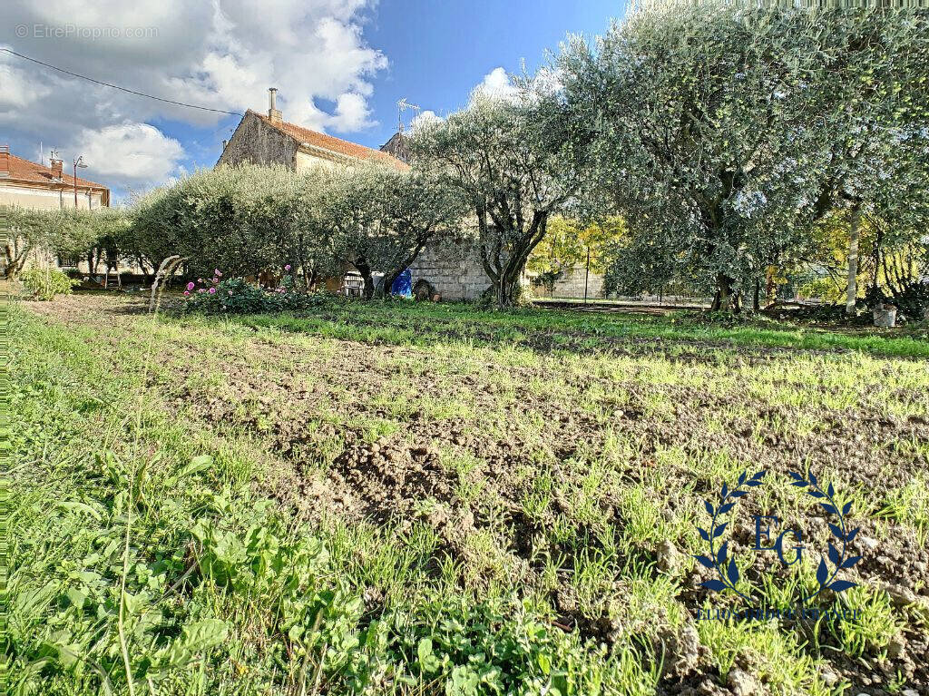 Terrain à CHEVAL-BLANC