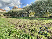 Terrain à CHEVAL-BLANC