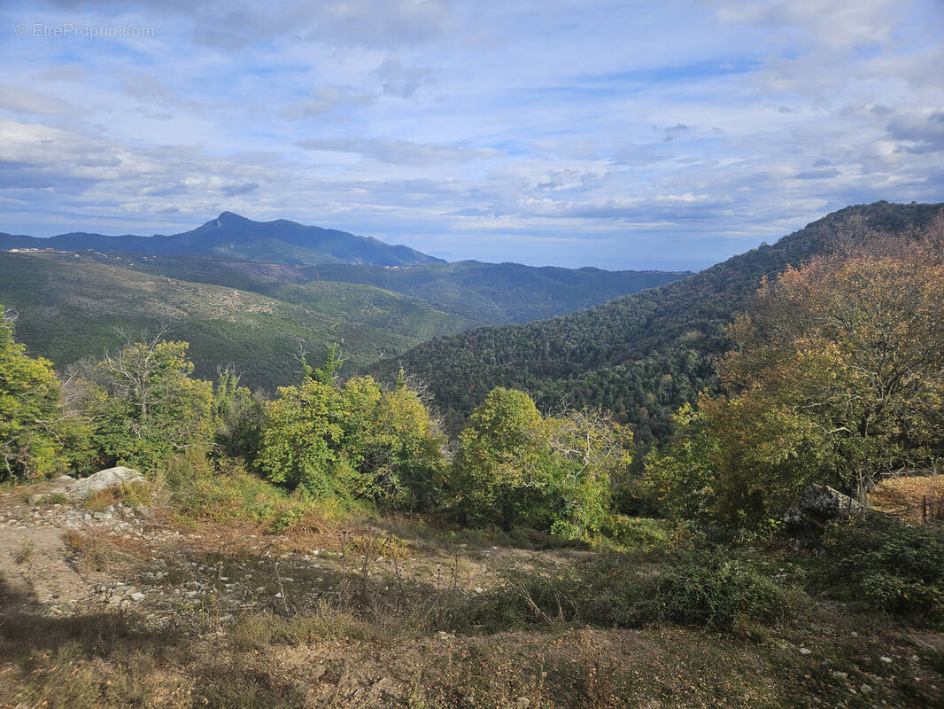 Terrain à PIETRASERENA