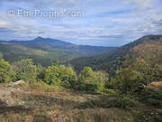 Terrain à PIETRASERENA