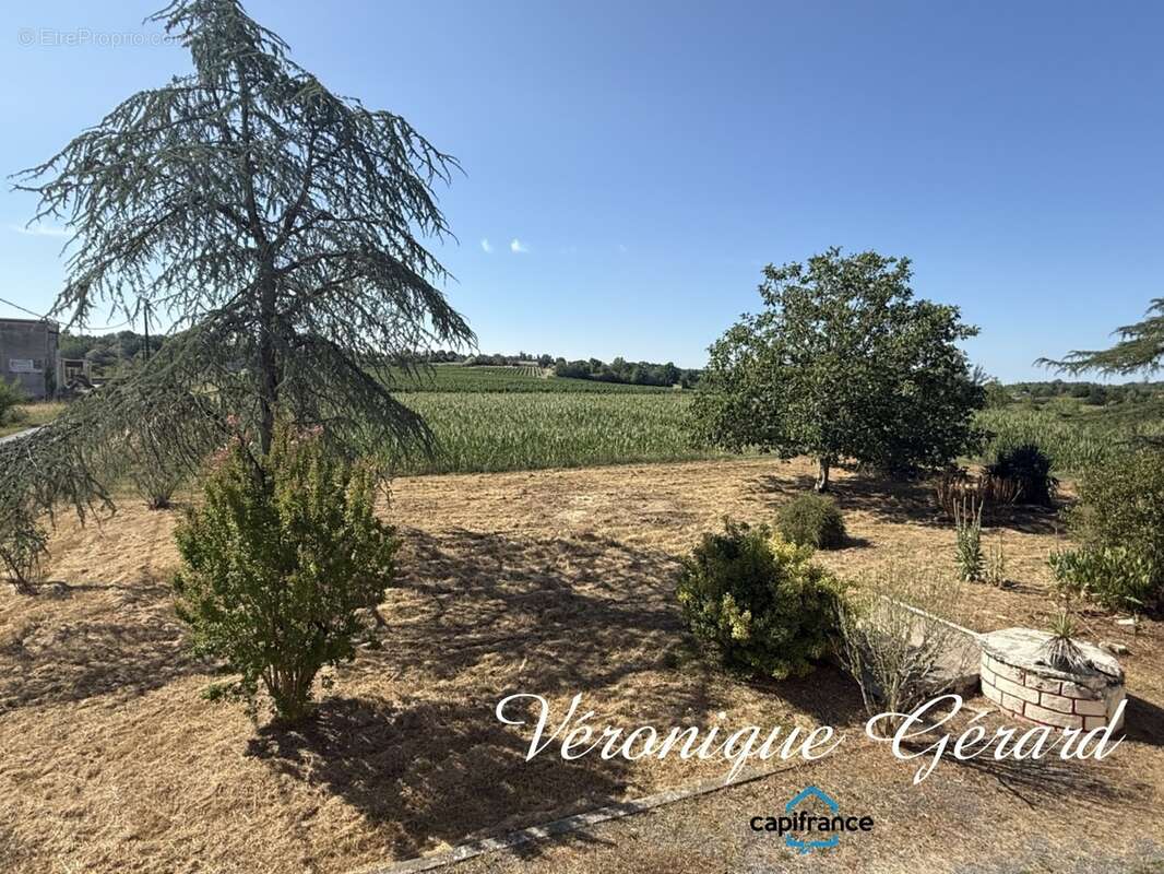 Ensemble immobilier de 300M² 11 pièces sur environ 2976 M² - photo 12