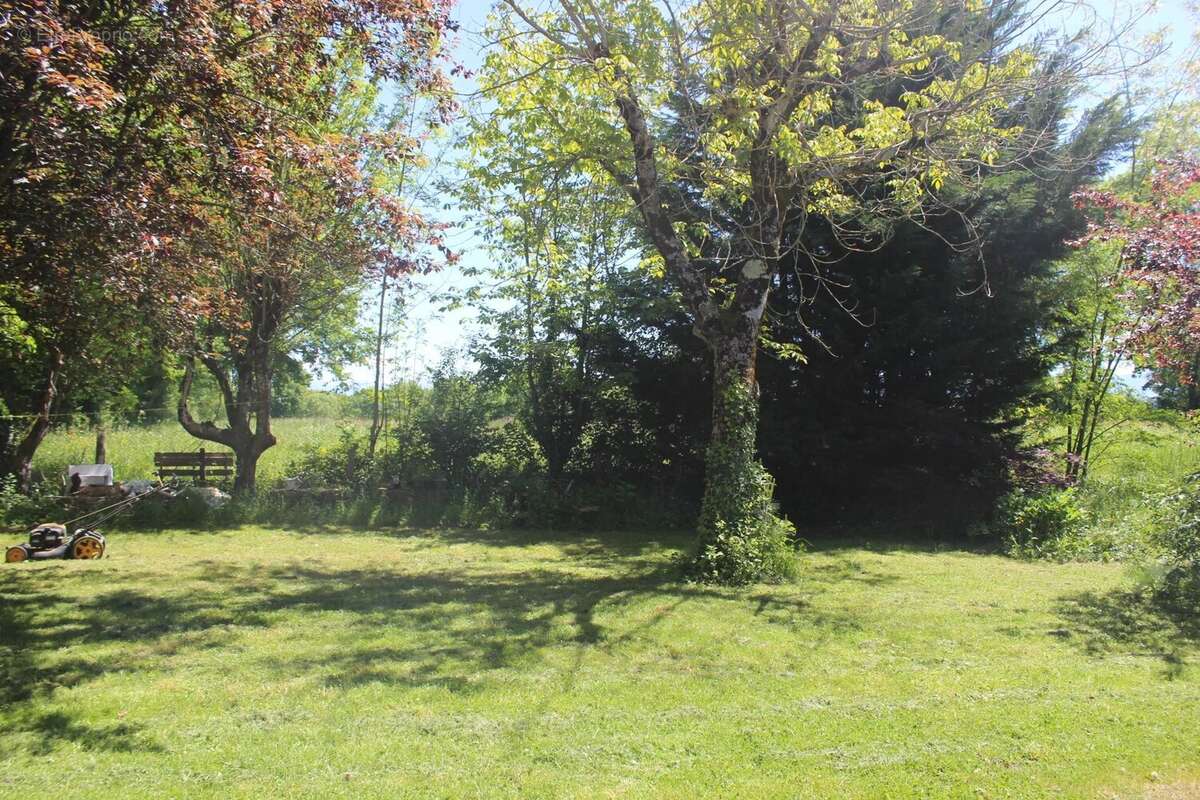 Maison à MONTREJEAU