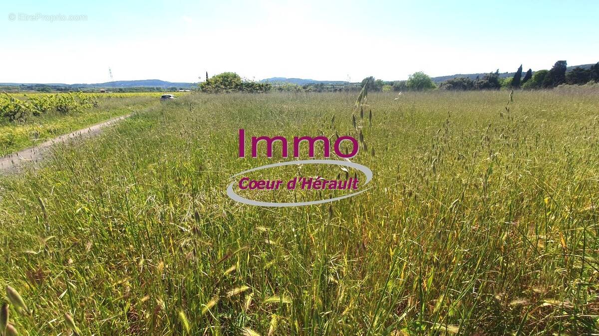 Terrain à SAINT-FELIX-DE-LODEZ