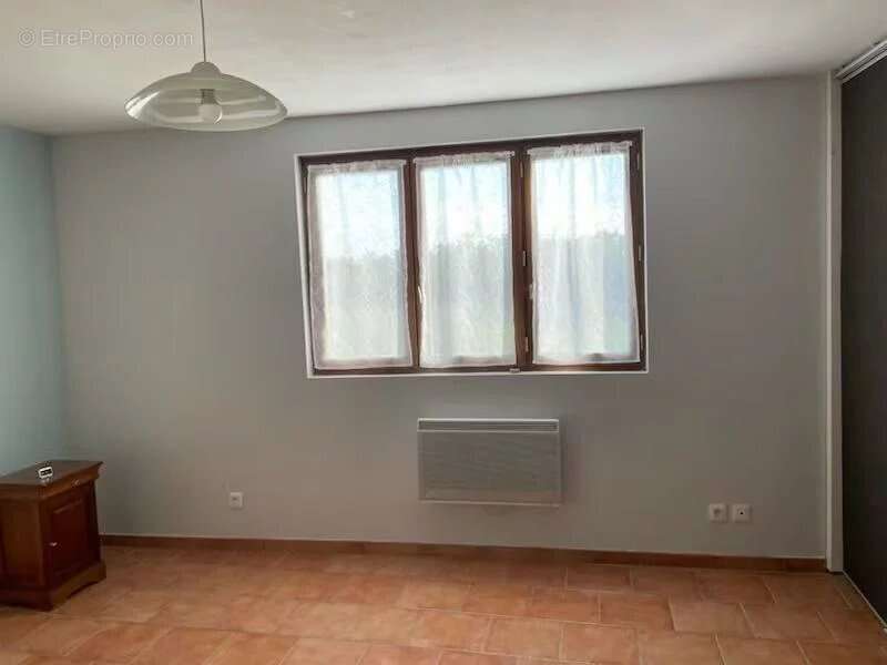 Jolie demeure avec maison d’amis à deux pas de Tonneins - photo 11