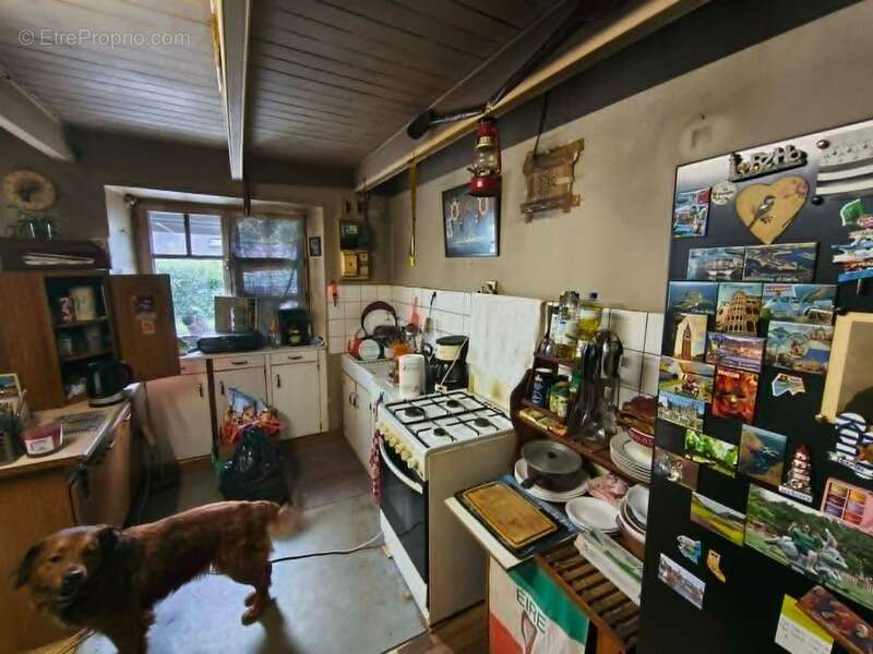 Maison opportunité de rénovation en plein coeur des Mont d'Arrée - photo 7