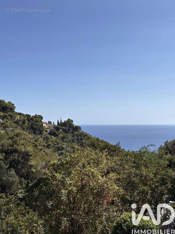 Photo 3 - Maison à ROQUEBRUNE-CAP-MARTIN