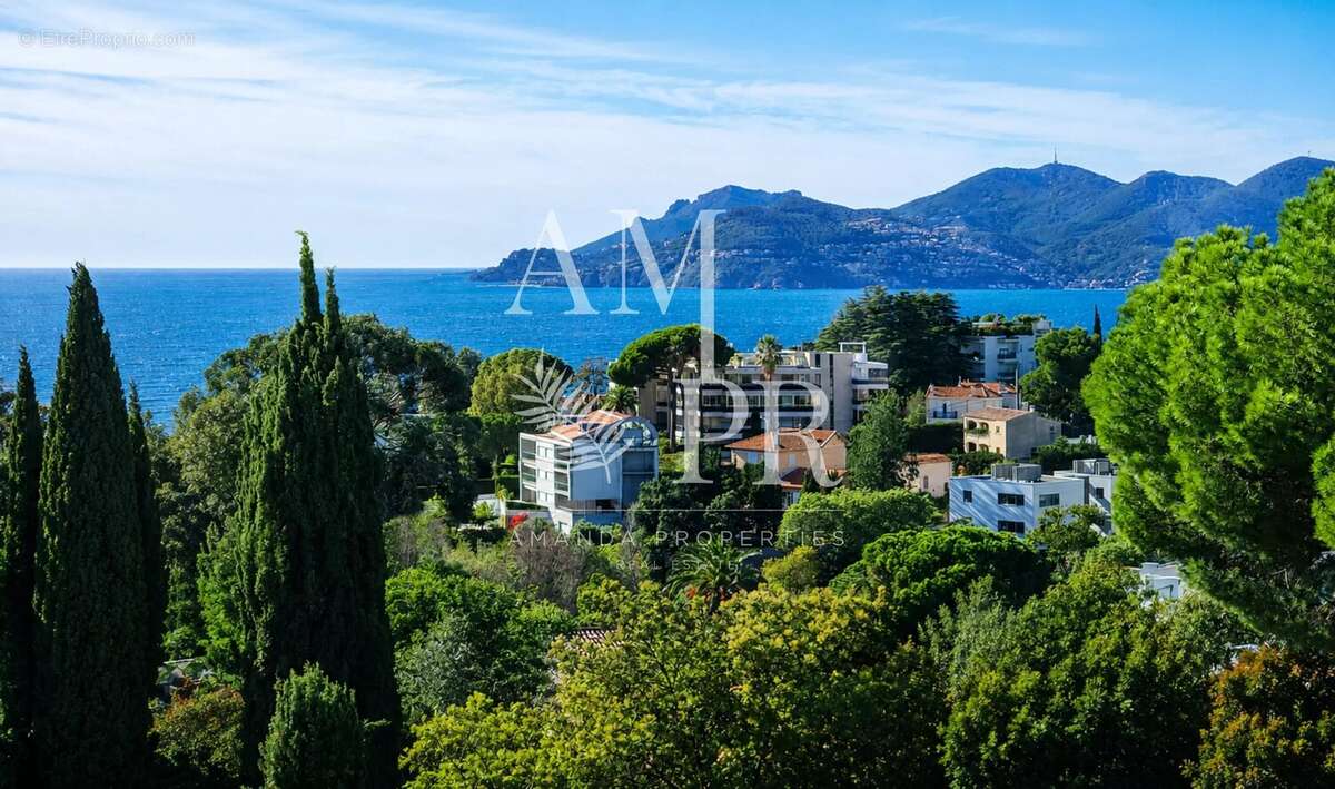 Baisse de prix de 1 062 000€ - exclusivité : villa unique - à deux pas de la croisette - vue mer - photo 6