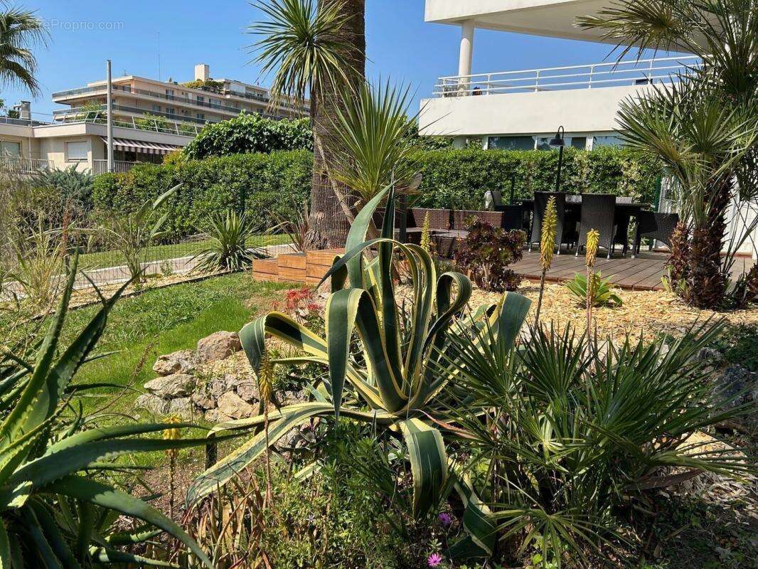 Juan-les-Pins – Centre-ville, 3 pieces en rez de jardin - photo 8