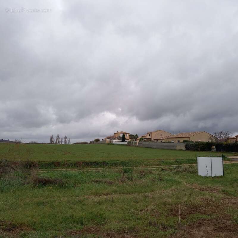 Terrain à PUISSERGUIER