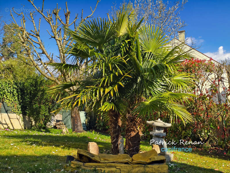 Maison à FONTENAY-LE-FLEURY