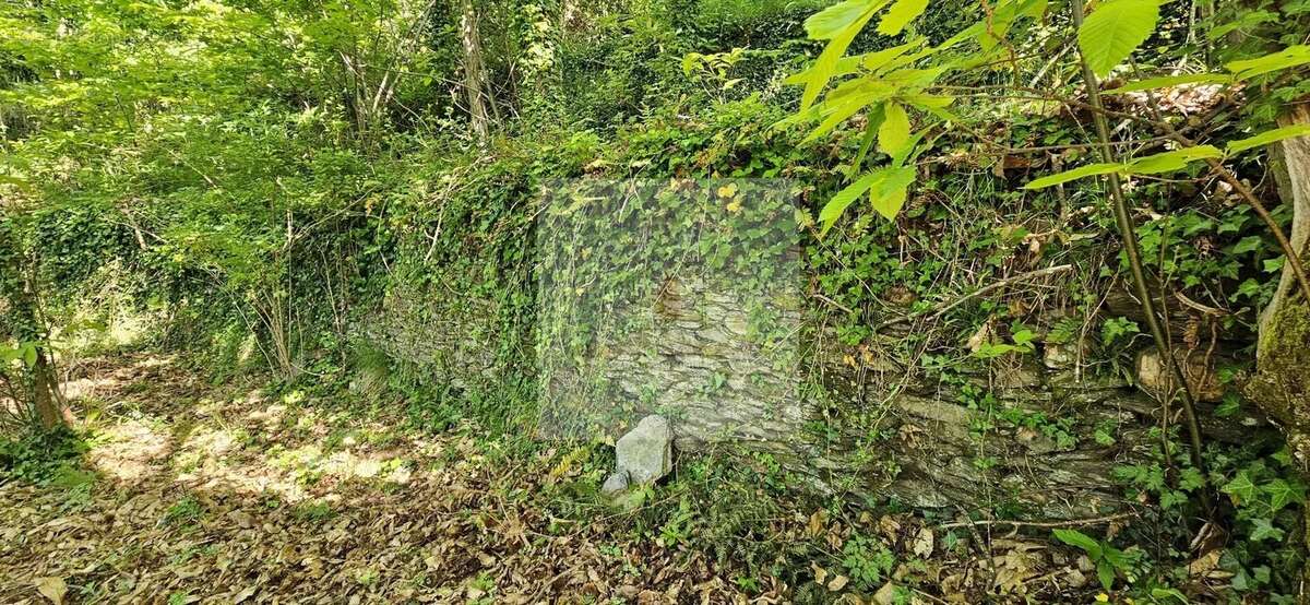 Terrain à LE COLLET-DE-DEZE