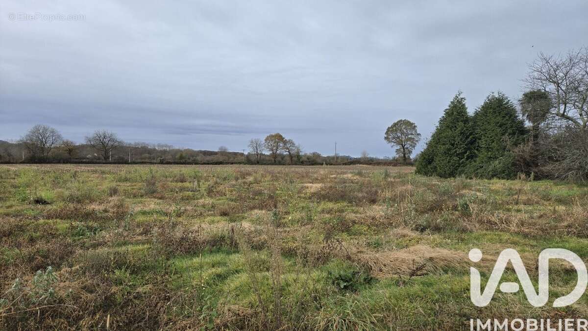 Photo 2 - Terrain à ESCOU