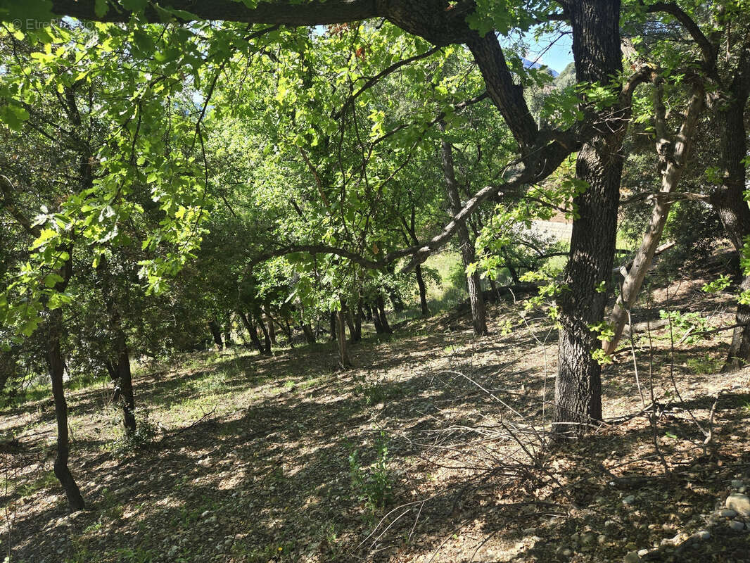 Terrain à SAINT-MARTIN-DU-VAR