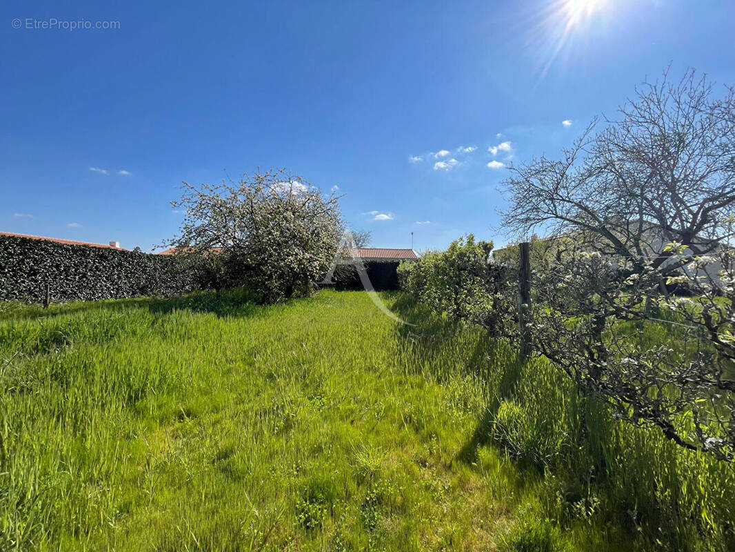 Terrain à COMMEQUIERS