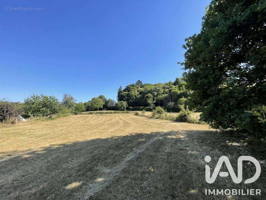 Photo 8 - Maison à CHATEAUNEUF-LA-FORET